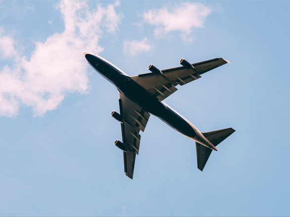 实验动物小鼠航空运输，检验合格证